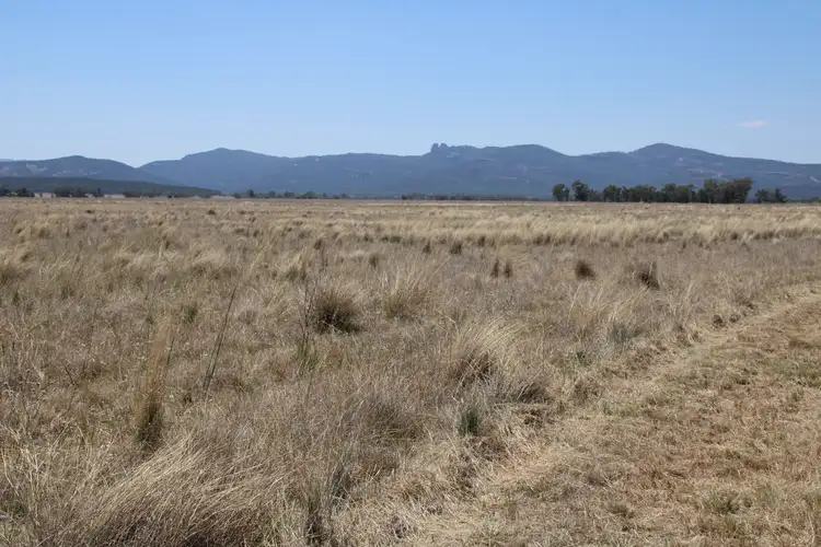 Fourth view of Homely rural property listing, 111 Thornfield Crossing Road, Maules Creek NSW 2382