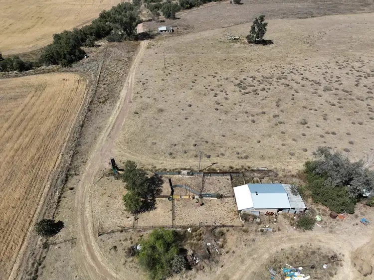 Seventh view of Homely rural property listing, 111 Thornfield Crossing Road, Maules Creek NSW 2382
