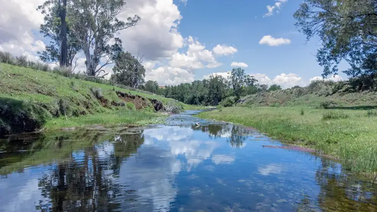 Second view of Homely rural property listing, 5448 New England Hwy, Blandford NSW 2338