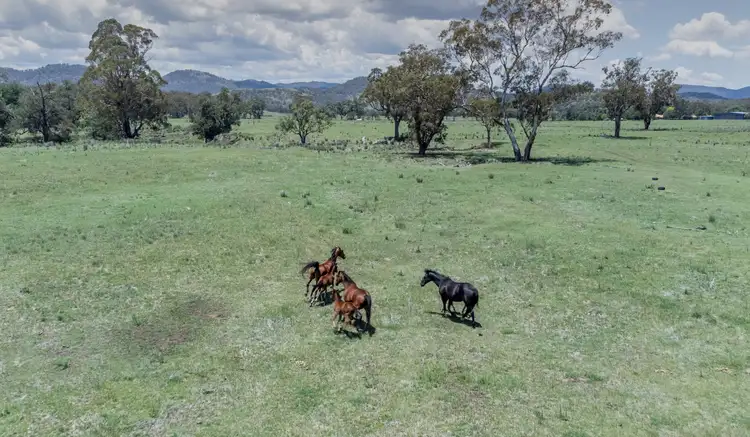 Third view of Homely rural property listing, 5448 New England Hwy, Blandford NSW 2338