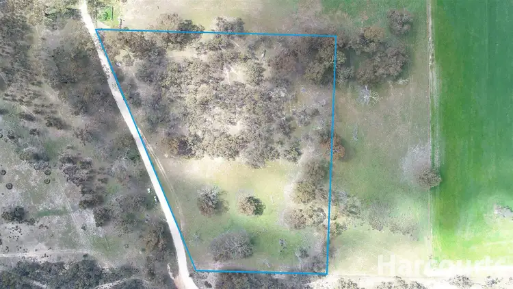 Second view of Homely rural property listing, 260 Emmersons Road, Noradjuha VIC 3409