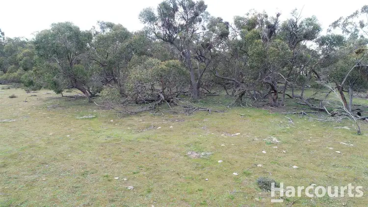 Seventh view of Homely rural property listing, 260 Emmersons Road, Noradjuha VIC 3409