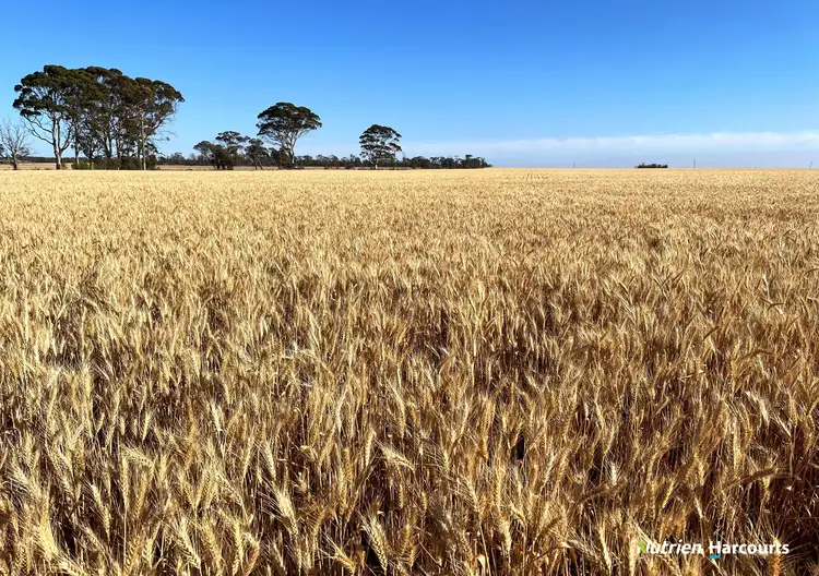Main view of Homely rural property listing, 12224 Goldfields Road, Baandee WA 6412