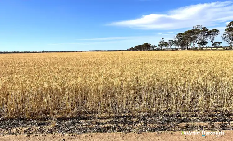 Fourth view of Homely rural property listing, 12224 Goldfields Road, Baandee WA 6412