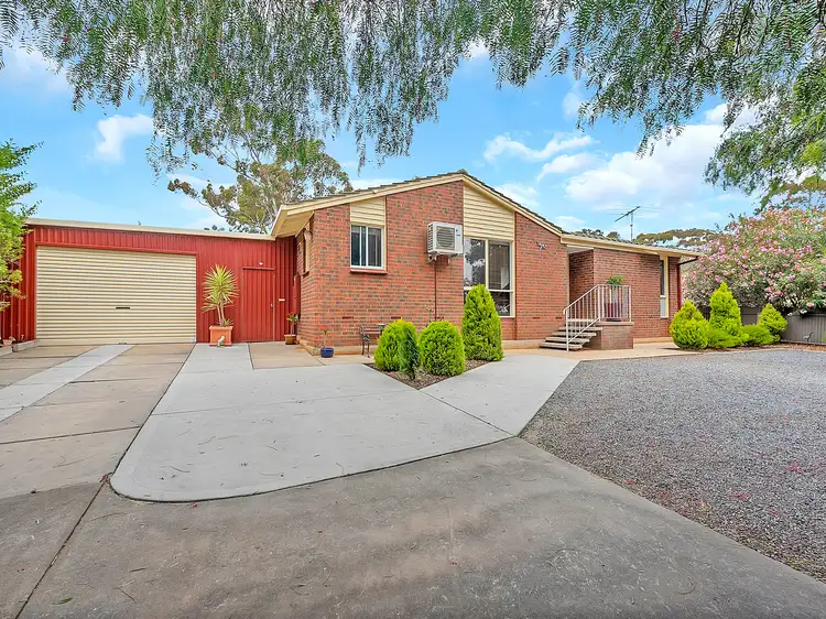 Main view of Homely house listing, 60 Pipkin Road, Elizabeth East SA 5112