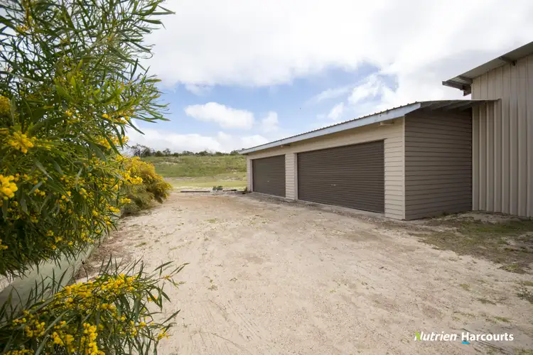 Fifth view of Homely house listing, 146 Helms Drive, Pink Lake WA 6450