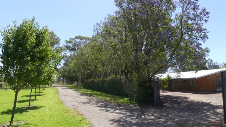 Fourth view of Homely house listing, 196 Gunnegaldra Rd, Warren NSW 2824