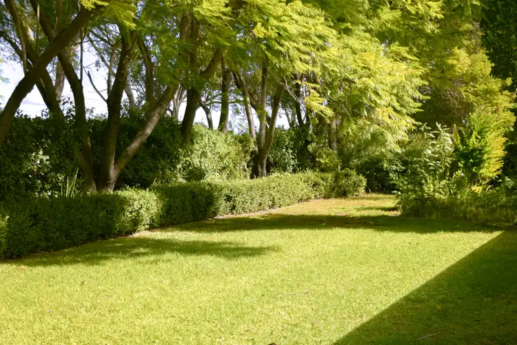 Fifth view of Homely house listing, 196 Gunnegaldra Rd, Warren NSW 2824