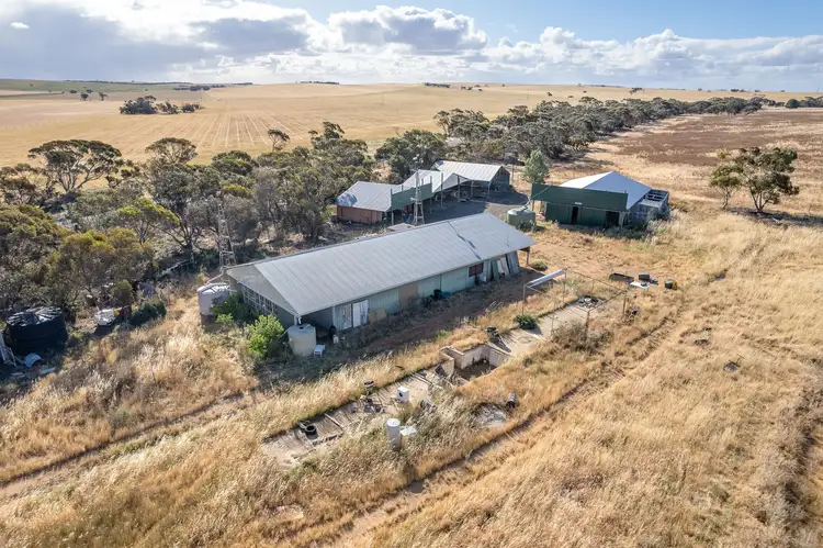 Second view of Homely rural property listing, 1099 Kulkawurra Road, Karoonda SA 5307