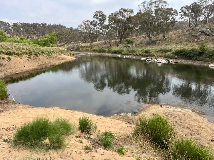 Main view of Homely rural property listing, 800 Shannon Vale Road, Shannon Vale NSW 2370