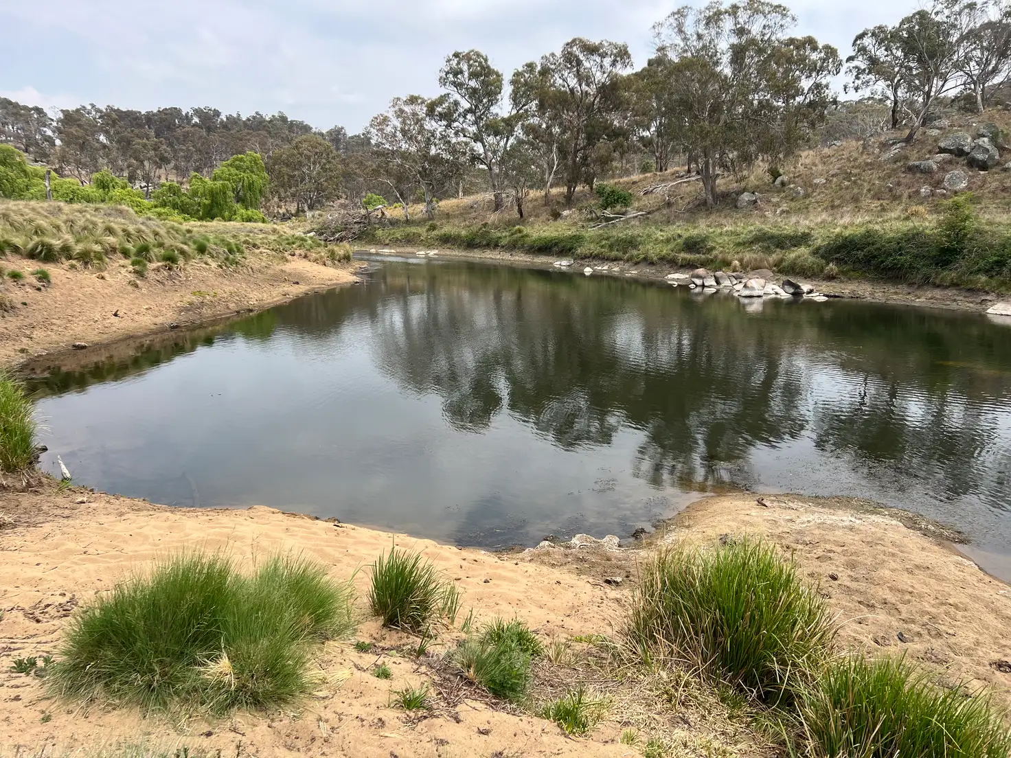 Main view of Homely rural property listing, 800 Shannon Vale Road, Shannon Vale NSW 2370
