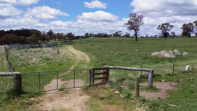 Third view of Homely rural property listing, 800 Shannon Vale Road, Shannon Vale NSW 2370