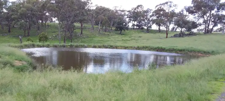 Fourth view of Homely rural property listing, 800 Shannon Vale Road, Shannon Vale NSW 2370