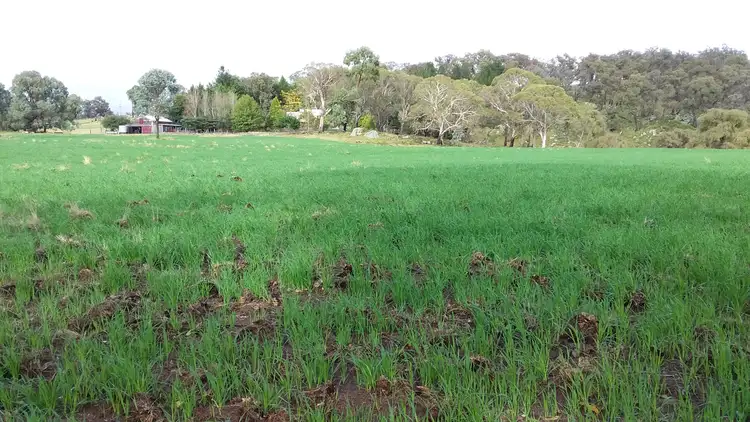 Fifth view of Homely rural property listing, 800 Shannon Vale Road, Shannon Vale NSW 2370