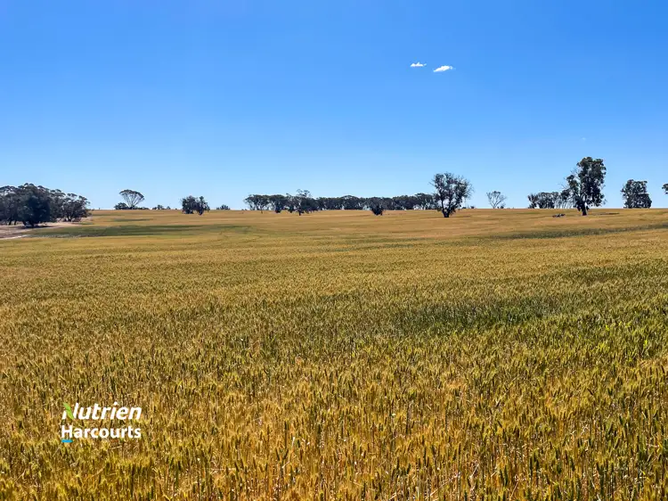 1497 Pallinup Road, Broomehill East WA 6318