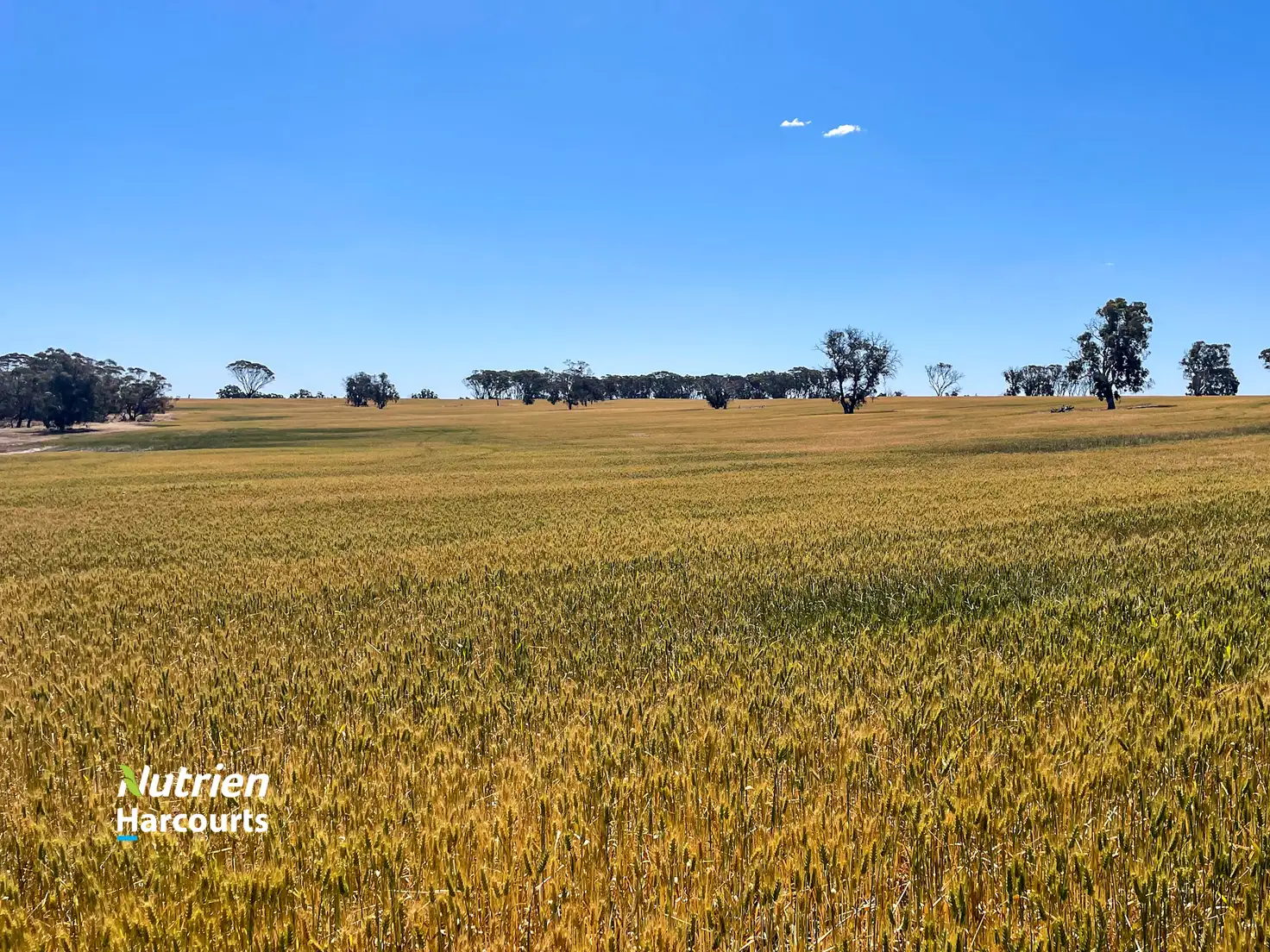 Main view of Homely rural property listing, 1497 Pallinup Road, Broomehill East WA 6318