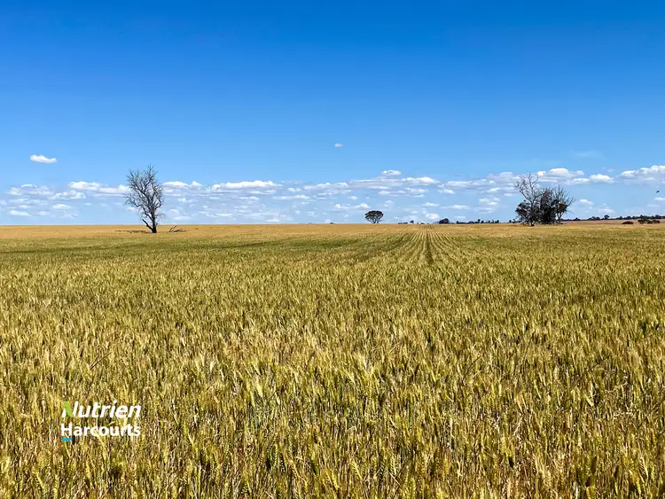 Second view of Homely rural property listing, 1497 Pallinup Road, Broomehill East WA 6318