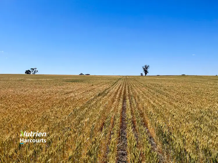 Third view of Homely rural property listing, 1497 Pallinup Road, Broomehill East WA 6318