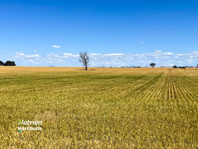 Fourth view of Homely rural property listing, 1497 Pallinup Road, Broomehill East WA 6318