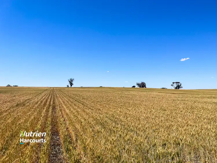Fifth view of Homely rural property listing, 1497 Pallinup Road, Broomehill East WA 6318
