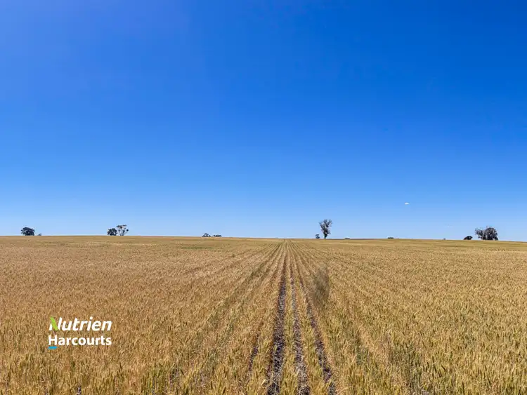 Sixth view of Homely rural property listing, 1497 Pallinup Road, Broomehill East WA 6318