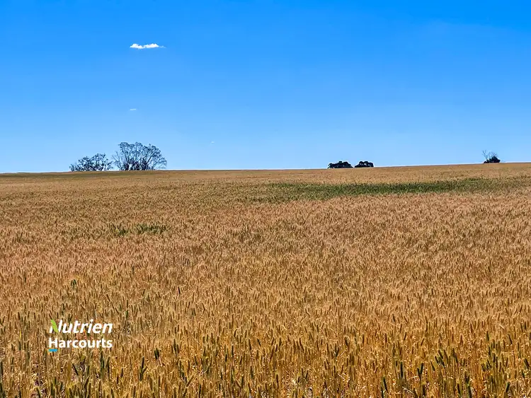 Seventh view of Homely rural property listing, 1497 Pallinup Road, Broomehill East WA 6318