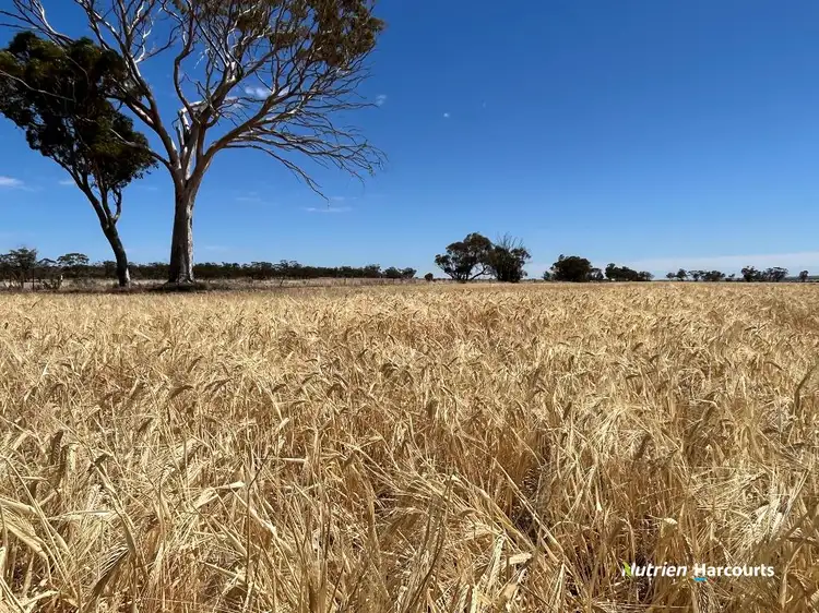 . 'Wallatin', Doodlakine WA 6411