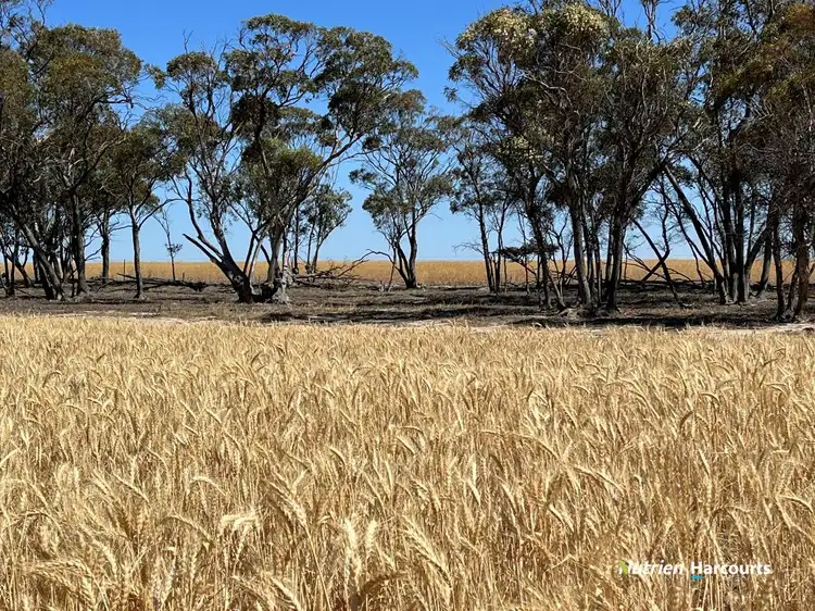 Fourth view of Homely rural property listing, . 'Wallatin', Doodlakine WA 6411