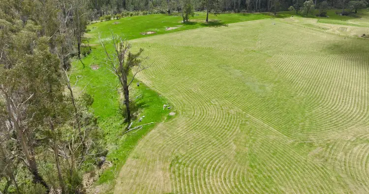 Fifth view of Homely rural property listing, 365 Bruthen-Buchan Road, Nowa Nowa VIC 3887