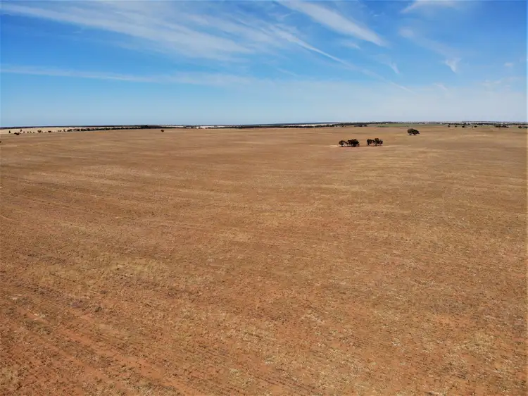 . Carwarp Road, Werrimull VIC 3496