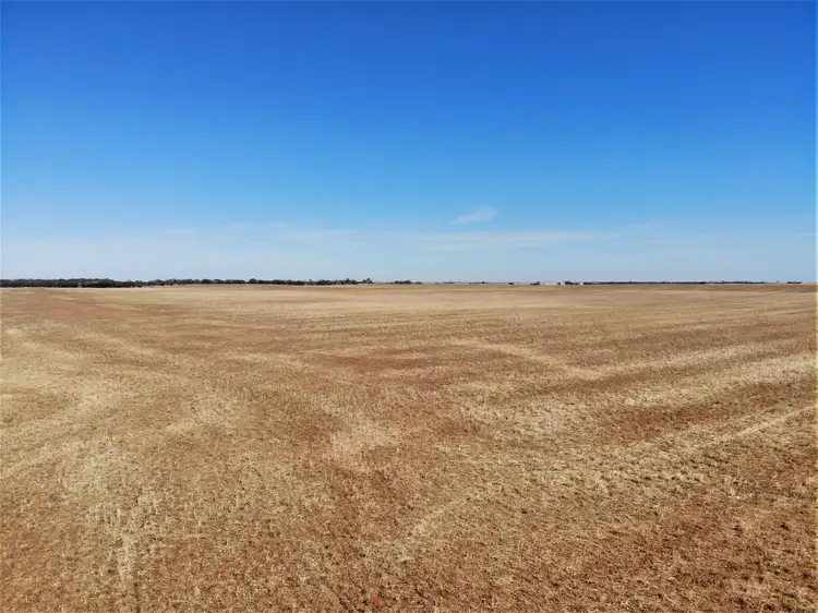 Second view of Homely rural property listing, . Carwarp Road, Werrimull VIC 3496