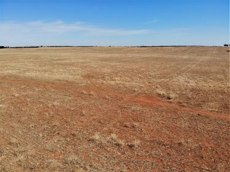 Fourth view of Homely rural property listing, . Carwarp Road, Werrimull VIC 3496