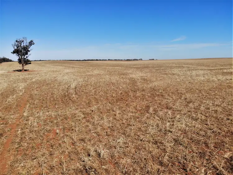 Fifth view of Homely rural property listing, . Carwarp Road, Werrimull VIC 3496