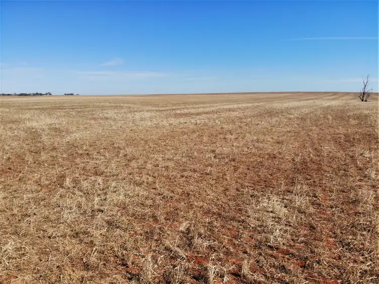 Sixth view of Homely rural property listing, . Carwarp Road, Werrimull VIC 3496