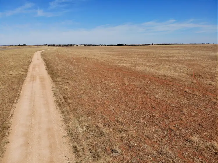 Seventh view of Homely rural property listing, . Carwarp Road, Werrimull VIC 3496