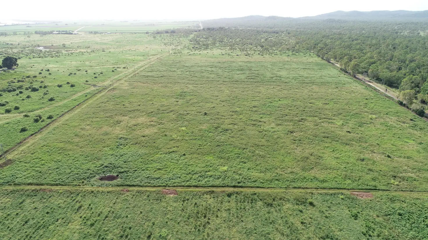 Main view of Homely rural property listing, 45 Piva Road, Home Hill QLD 4806