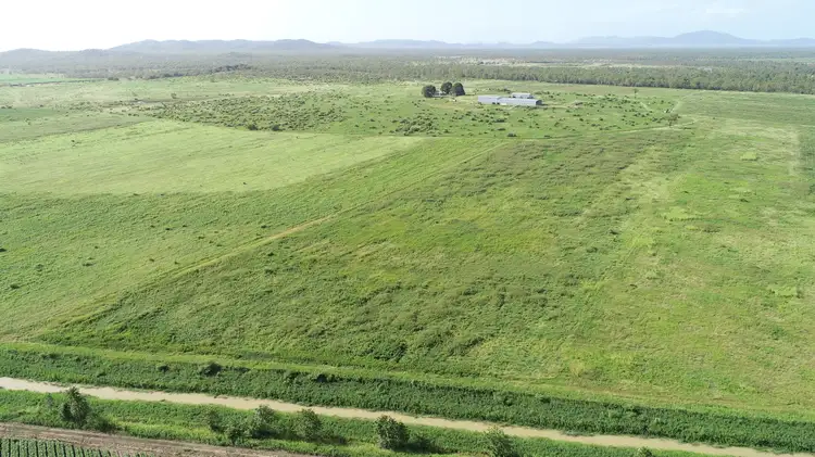 Second view of Homely rural property listing, 45 Piva Road, Home Hill QLD 4806