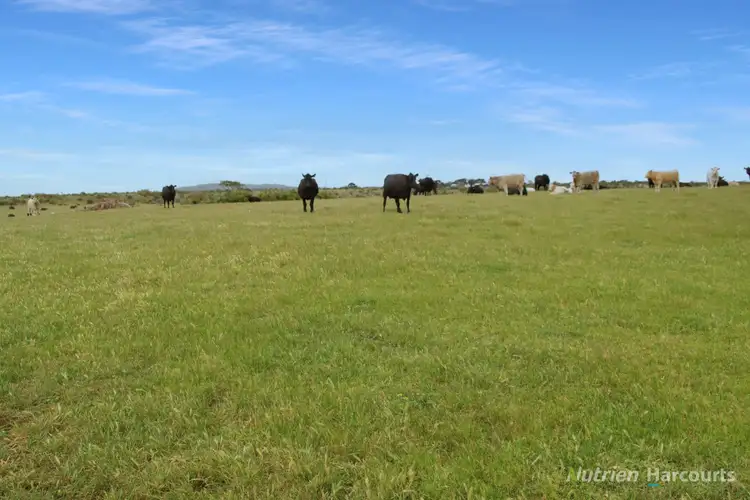 Fifth view of Homely rural property listing, 3670 Corangamite Lake Road, Cundare VIC 3251