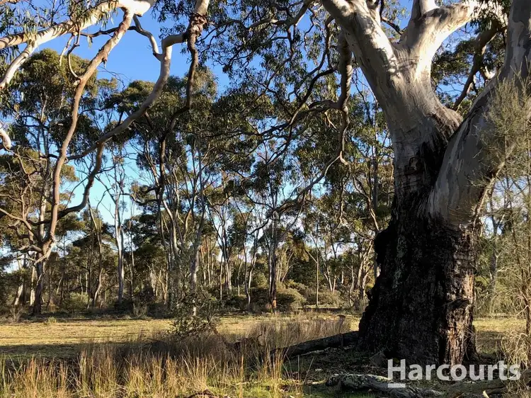 260A Emmersons Road, Noradjuha VIC 3409