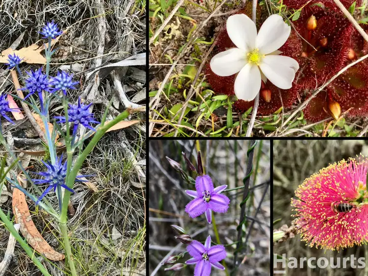 Second view of Homely rural property listing, 260A Emmersons Road, Noradjuha VIC 3409