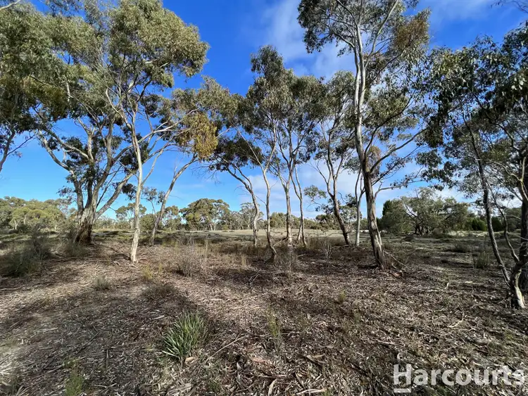 Seventh view of Homely rural property listing, 260A Emmersons Road, Noradjuha VIC 3409