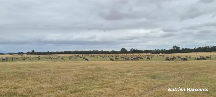 Fourth view of Homely rural property listing, 4038 & 4184 Chesterpass Road, Takalarup WA 6324