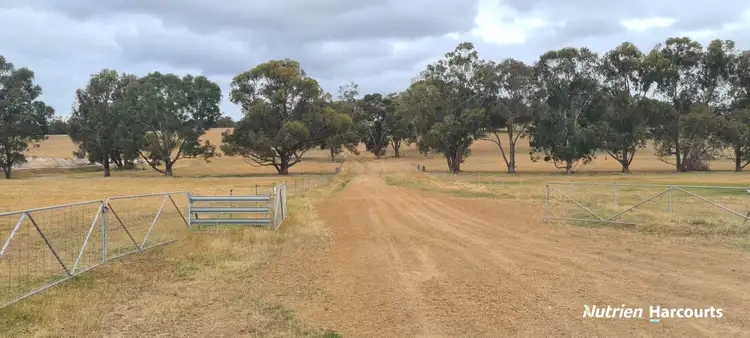 Sixth view of Homely rural property listing, 4038 & 4184 Chesterpass Road, Takalarup WA 6324