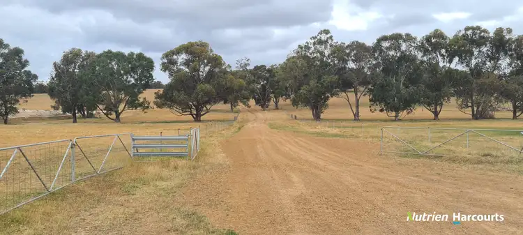 Sixth view of Homely rural property listing, 4038 & 4184 Chesterpass Road, Takalarup WA 6324