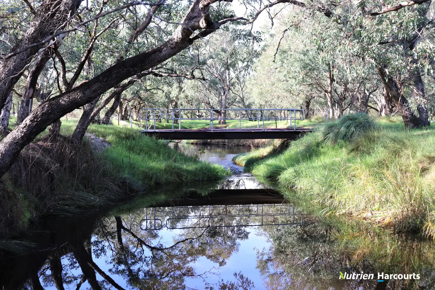Main view of Homely rural property listing, 549 Telephone Road, Wanerie WA 6503