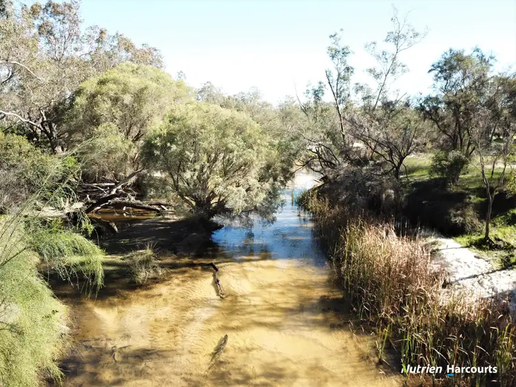 Fifth view of Homely rural property listing, 549 Telephone Road, Wanerie WA 6503