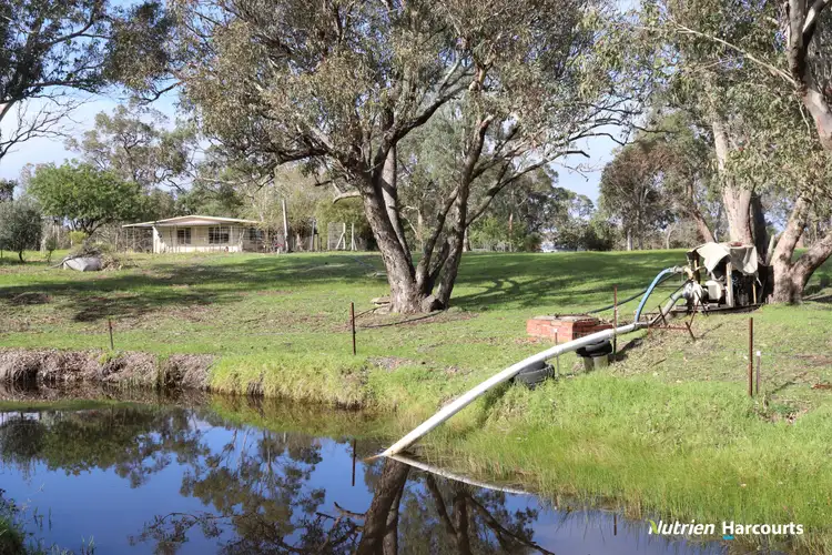 Sixth view of Homely rural property listing, 549 Telephone Road, Wanerie WA 6503