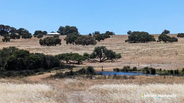 Main view of Homely rural property listing, 374 Mogumber Road, Red Gully WA 6503