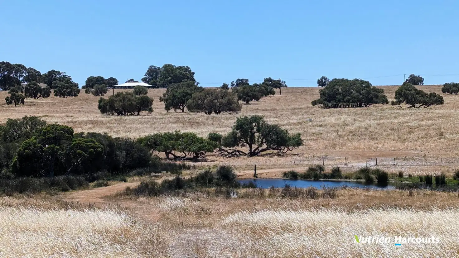 Main view of Homely rural property listing, 374 Mogumber Road, Red Gully WA 6503