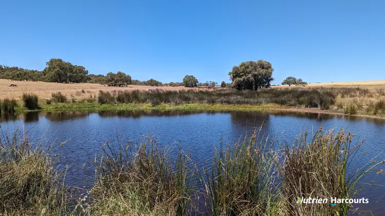 Third view of Homely rural property listing, 374 Mogumber Road, Red Gully WA 6503